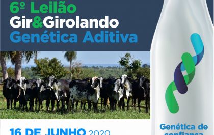 Genética Aditiva promove leilão das raças Gir e Girolando