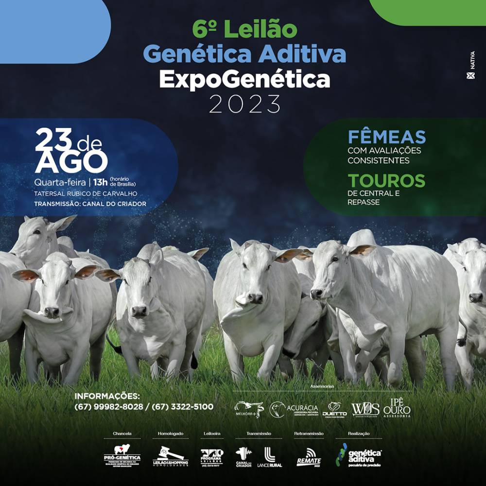 6o. Leilão Xeque-Mate by Attualità Agronegócios - Issuu