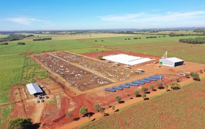 Genética Aditiva inaugura o Centro Tecnológico Dr. Hélio Martins Coelho