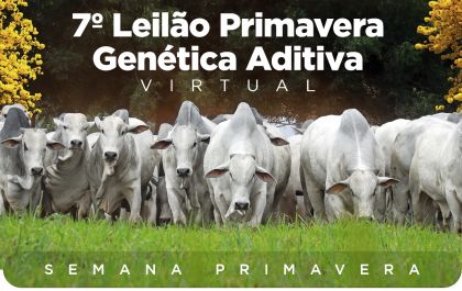 Genética Aditiva comemora sucesso da Semana Primavera