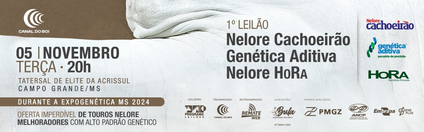 1º LEILÃO CACHOEIRÃO, GENÉTICA ADITIVA & HORA EXPOGENÉTICA MS