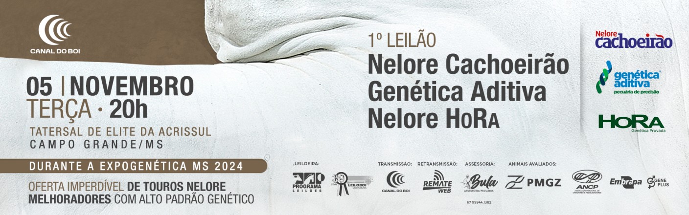 1º LEILÃO CACHOEIRÃO, GENÉTICA ADITIVA & HORA EXPOGENÉTICA MS